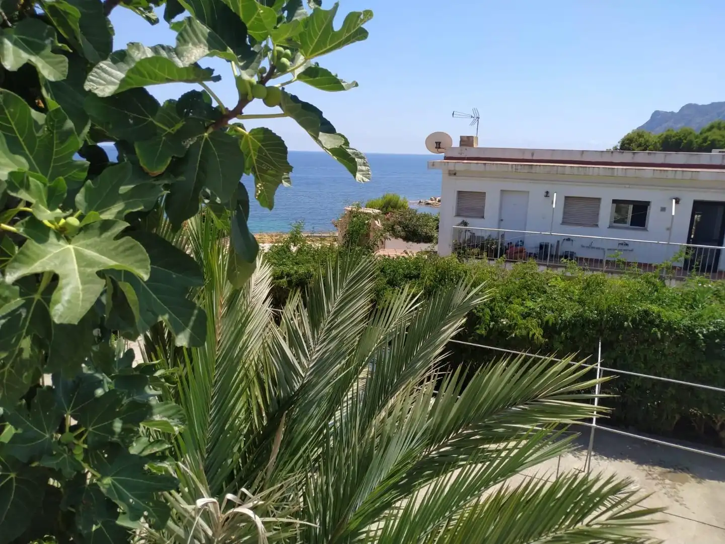 Jardín de Casa o chalet en venta en Calpe / Calp con Jardín privado, Terraza y Trastero