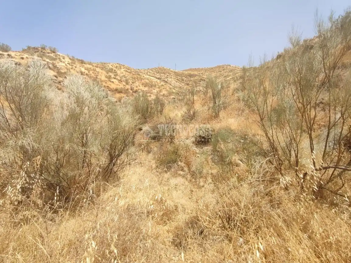 Rustikales Grundstück zum Verkauf in Pinos Genil, imagen 6