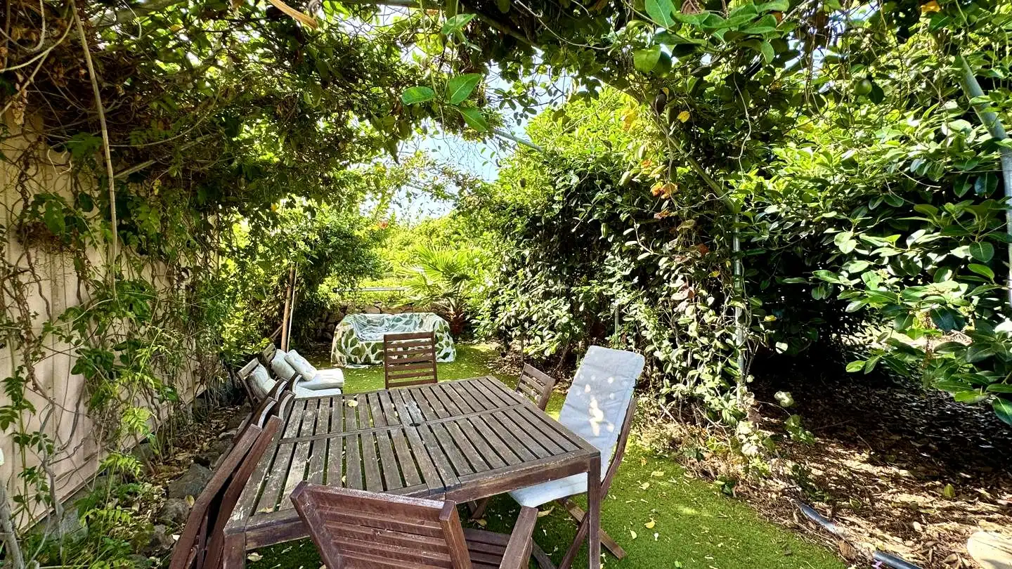 Jardí de Finca rústica en venda en Buenavista del Norte amb Jardí privat i Terrassa