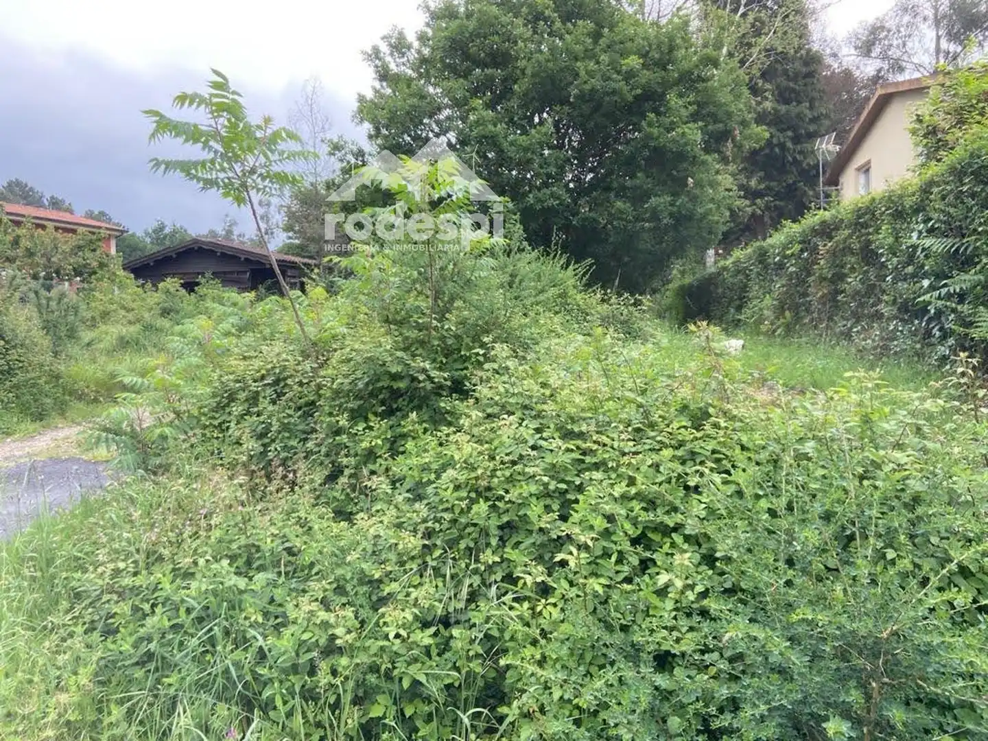Rural land for sale in Covelo, imagen 3