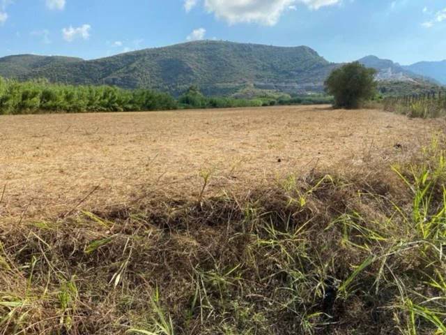 Terreno en Venta en de la Via en Xeresa