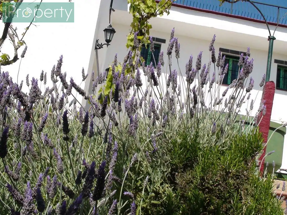 Jardín de Finca rústica en venta en El Vendrell con Aire acondicionado, Calefacción y Jardín privado
