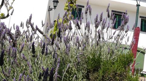 Foto 2 de Finca rústica en venda a Plaza de Mar S/n, Centre, Tarragona