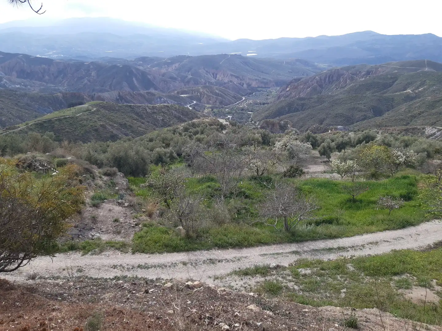 Terreni e lotti in vendita a Nevada, imagen 13
