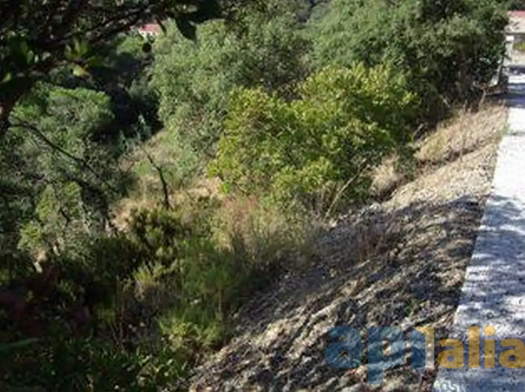 Residential land for sale in Carrer Avet, imagen 4