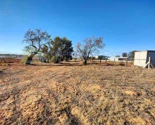 Finca rústica en venda en Lepe