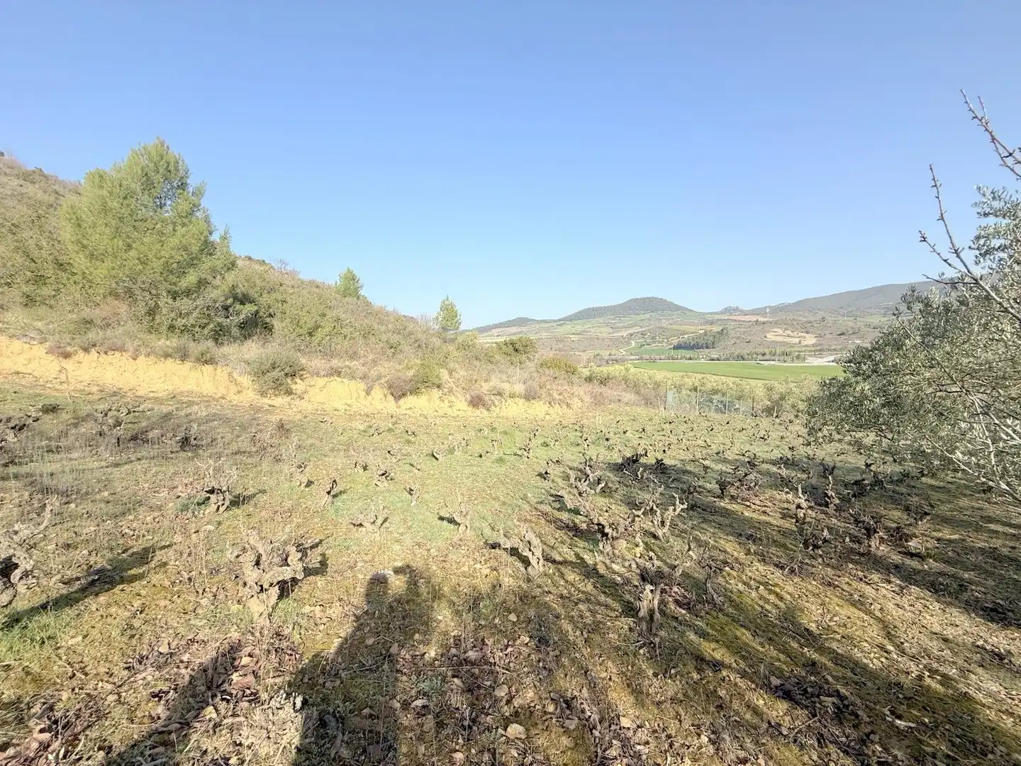 Terreno en venta en Cirauqui / Zirauki