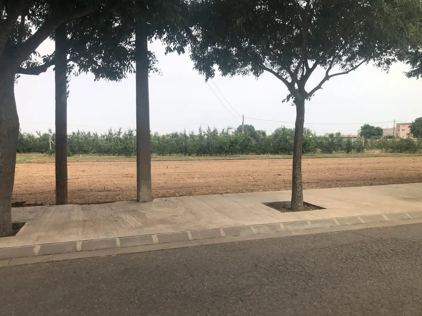 Terreny residencial en venda a Bellpuig, imagen 2