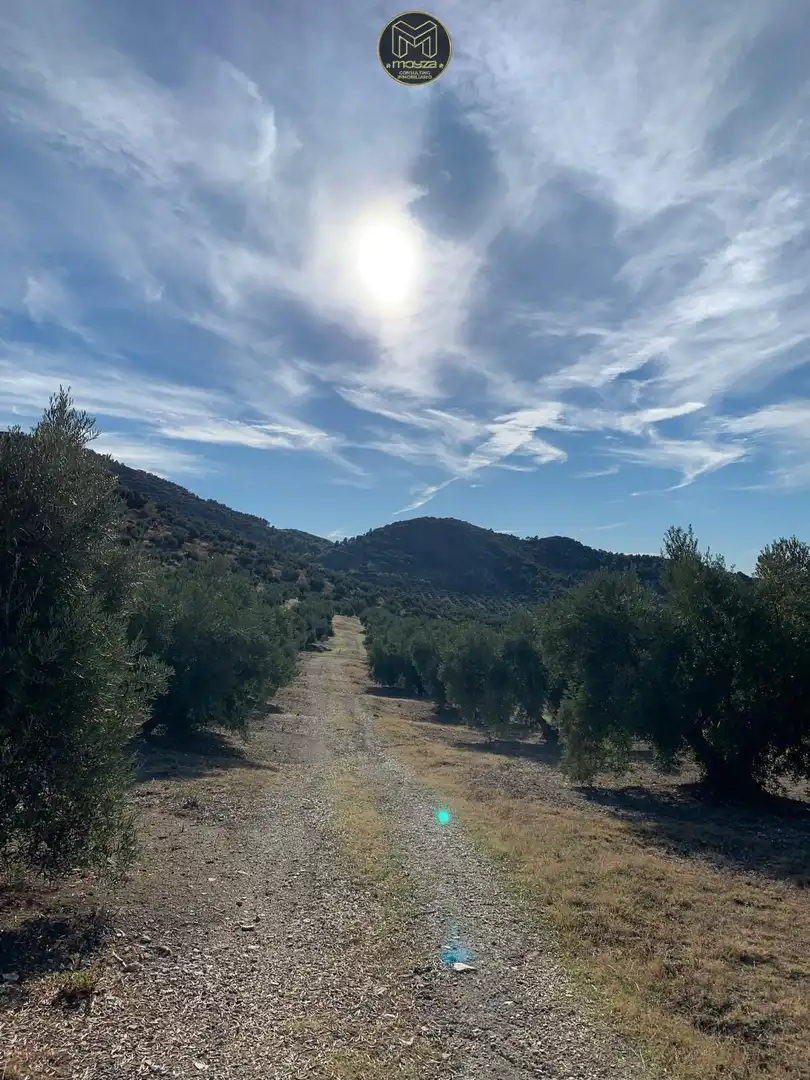 Xalet en venda a Torredelcampo, imagen 13