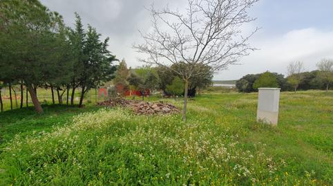 Foto 2 de Residencial en venda a Brazatortas, Ciudad Real