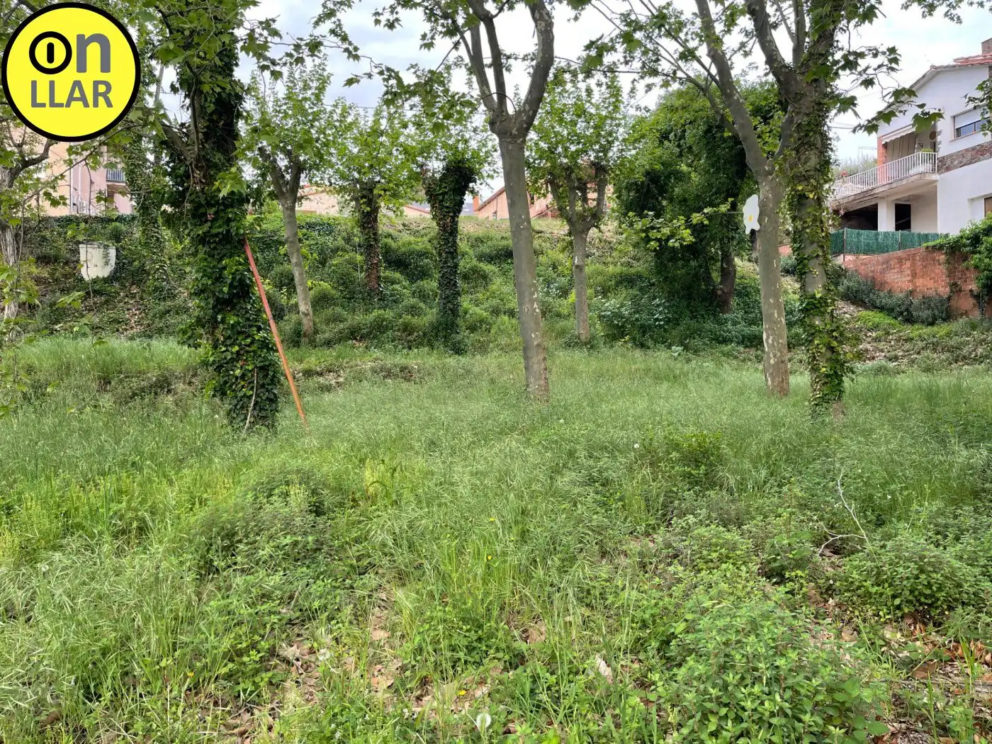 Residential land for sale in Calle Alzina, imagen 18