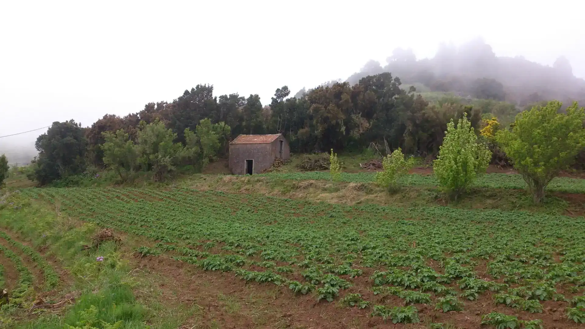 Finca rústica en venta en Garafía, Santa Cruz de Tenerife