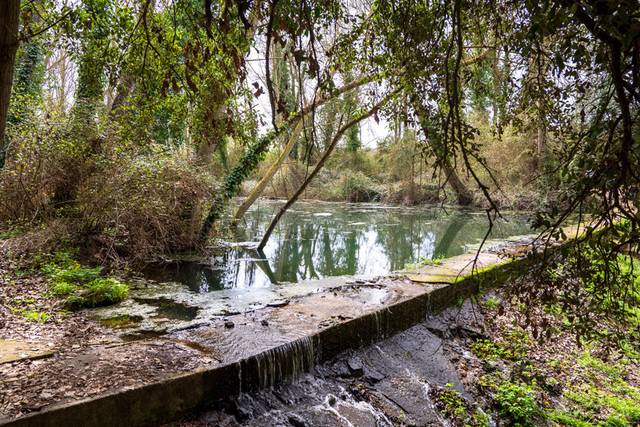 Finca rústica en Venta en Carrer Sant Joan en Corçà