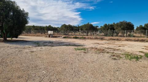 Foto 2 de Terreno en venta en Carretera Bacarot, 50, El Bacarot, Alicante / Alacant