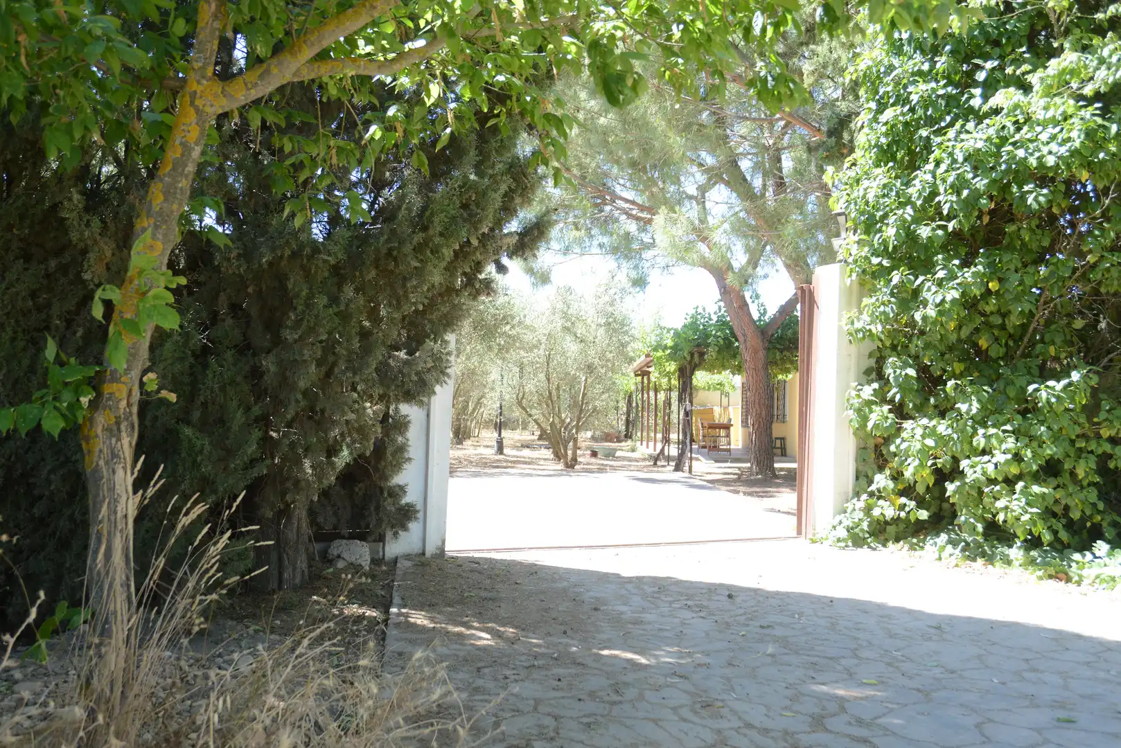 Finca rústica en venta en Fuente El Saz de Jarama