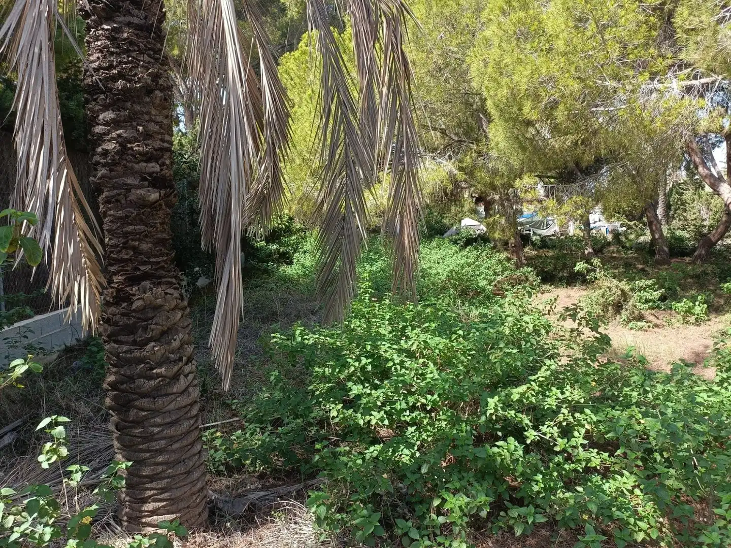 Residencial en venda en Orihuela