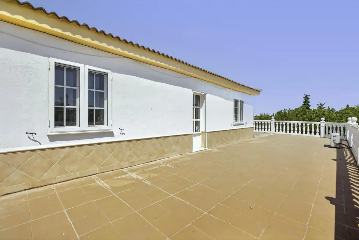 Vista exterior de Casa o xalet en venda en Carmona amb Aire condicionat, Calefacció i Jardí privat