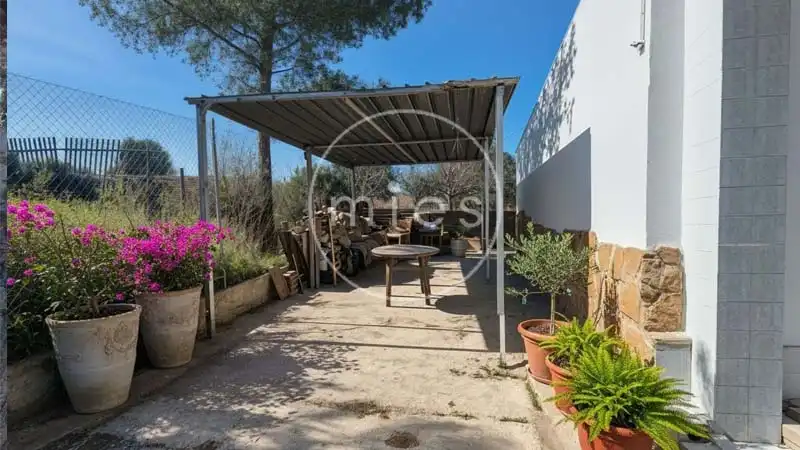Vista exterior de Casa o xalet en venda en Torrent amb Jardí privat i Terrassa