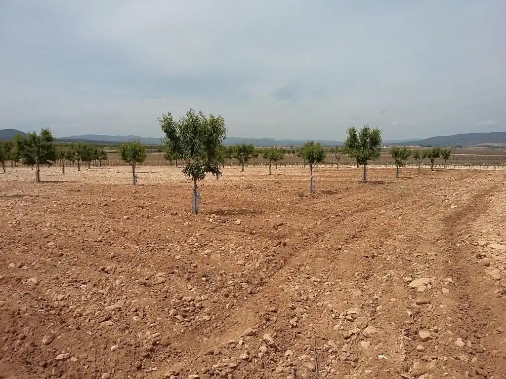 Terreny rústic en venda a CERCA (LA), imagen 4