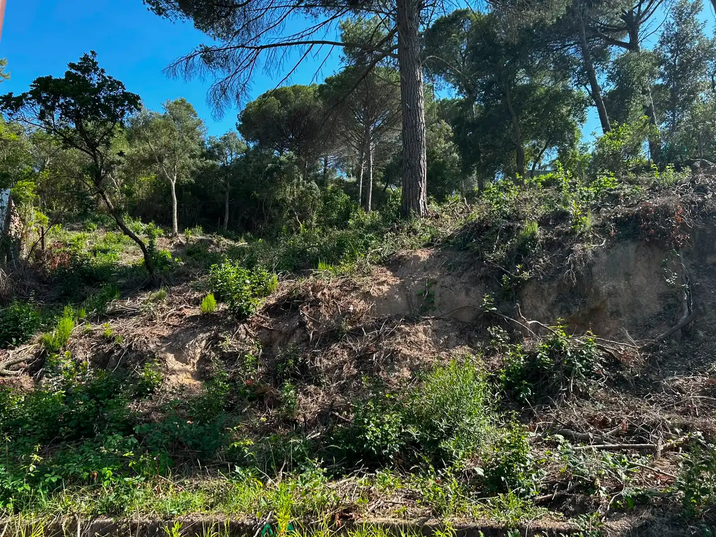 Wohnbaugrundstück zum Verkauf in Lloret Residencial - Montlloret, imagen 3
