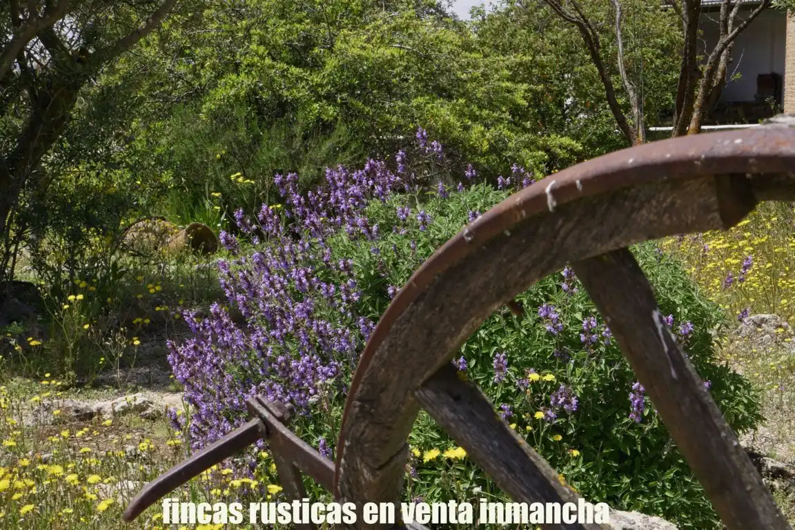 Terreni e lotti in vendita a Belmonte, imagen 15