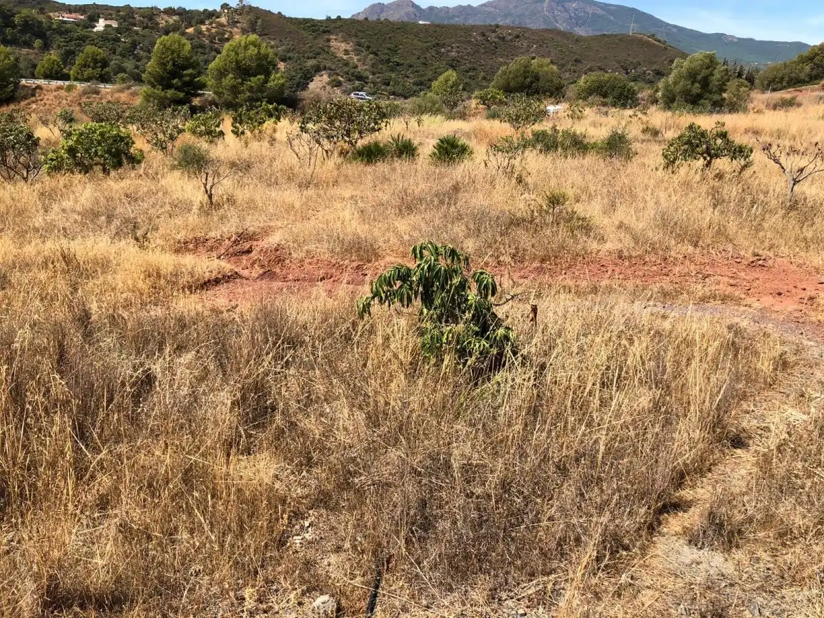 Casa rústica con jardín en venta en Punta Plata, imagen 8