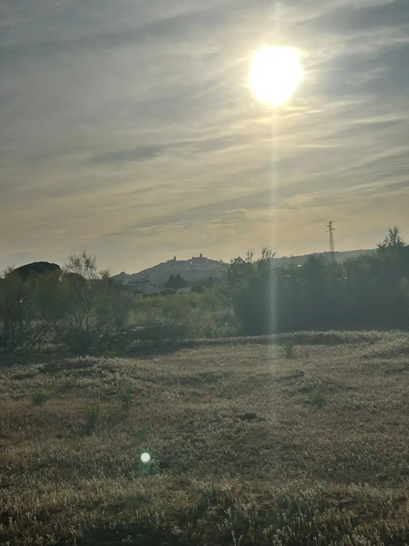 Terrain rustique à vendre à Arcos de la Frontera, imagen 4