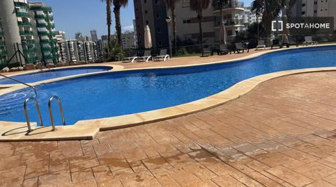 Photo 5 of Flat to share in Las Azaleas - Alkadir, Alicante