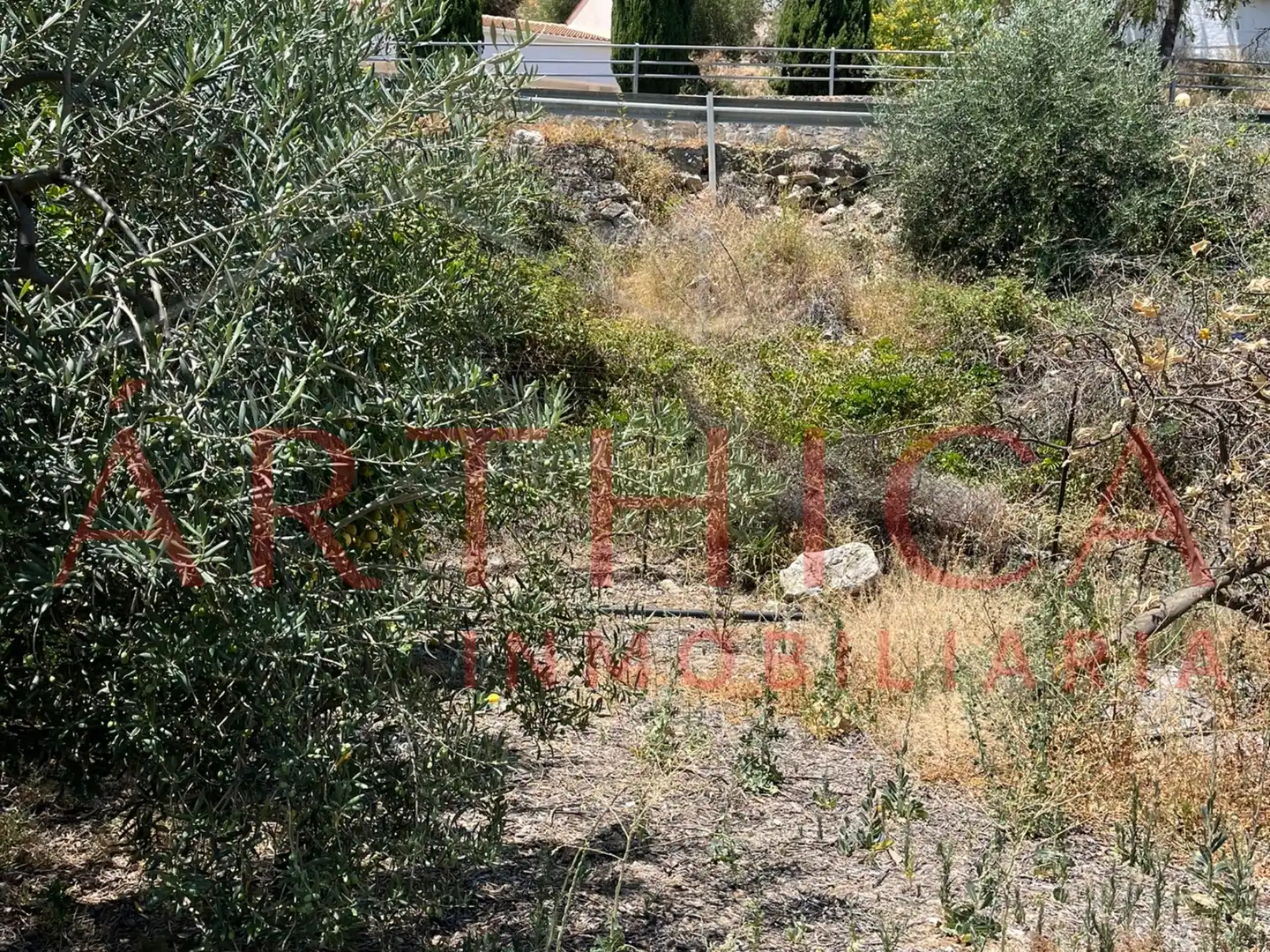Terreny rústic en venda a Avenida de Andalucia, imagen 4