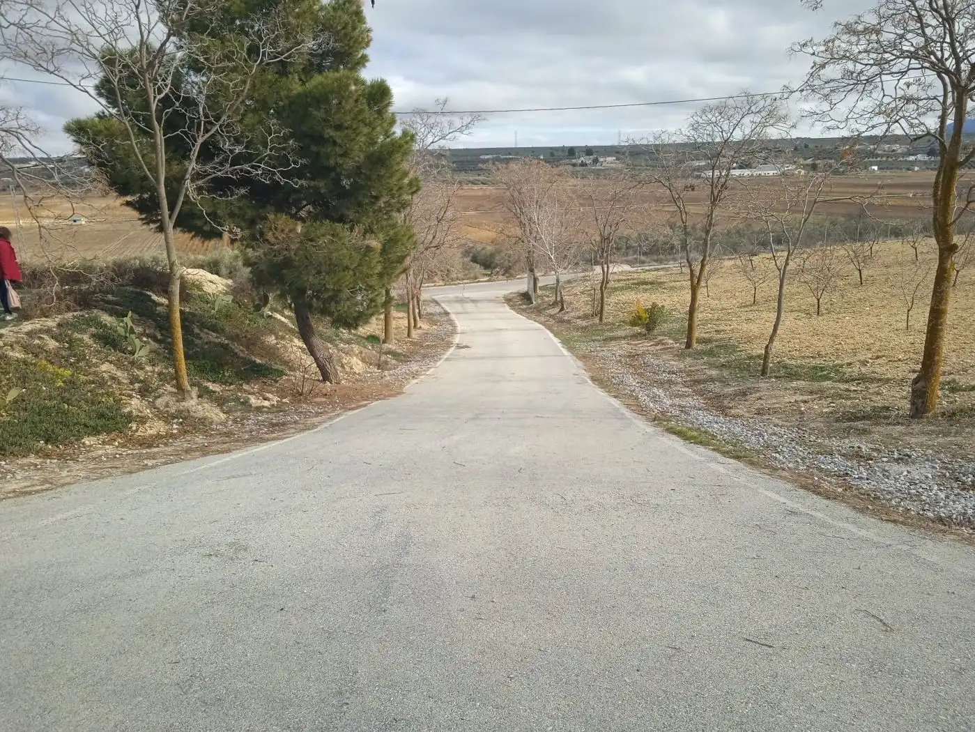 Maison à vendre à Cuevas del Campo, imagen 34