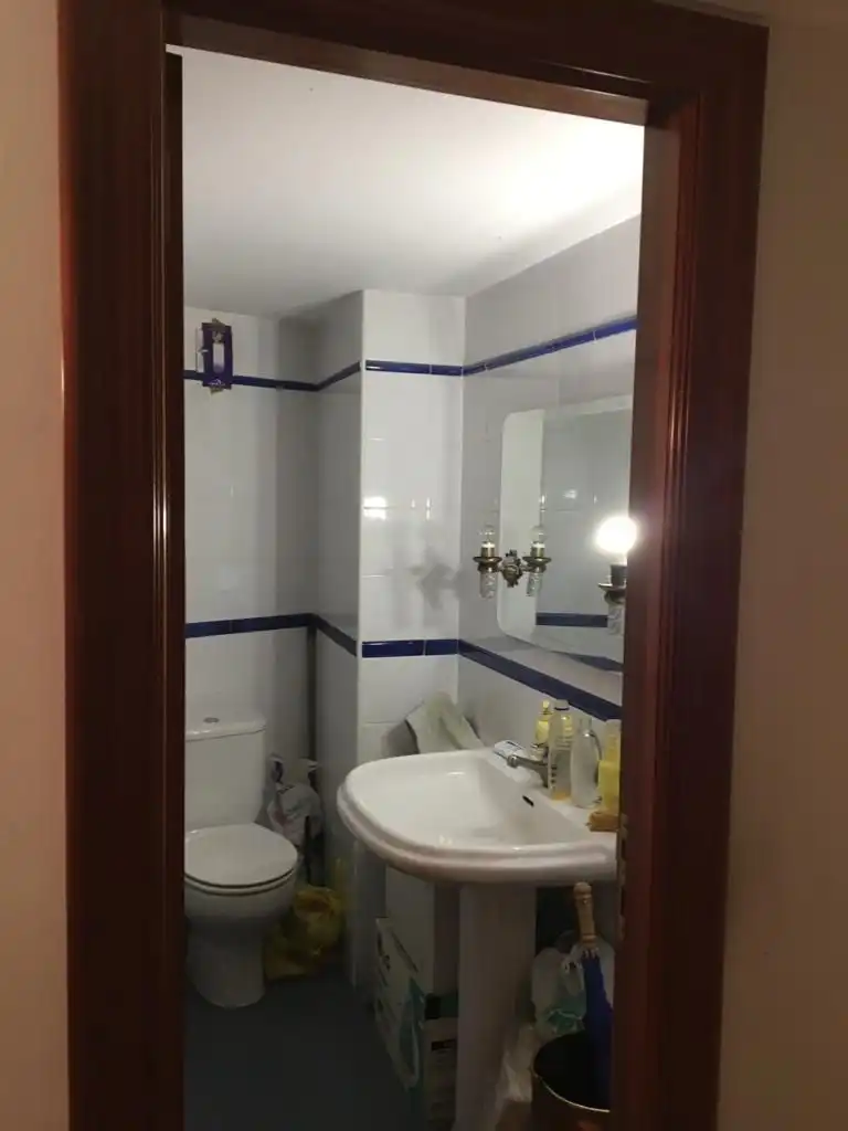 Gewerbefläche zum Verkauf in DE LA REINA, imagen 7