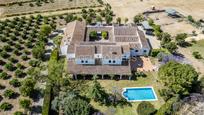 Vista exterior de Finca rústica en venda en Valencina de la Concepción amb Aire condicionat, Jardí privat i Terrassa