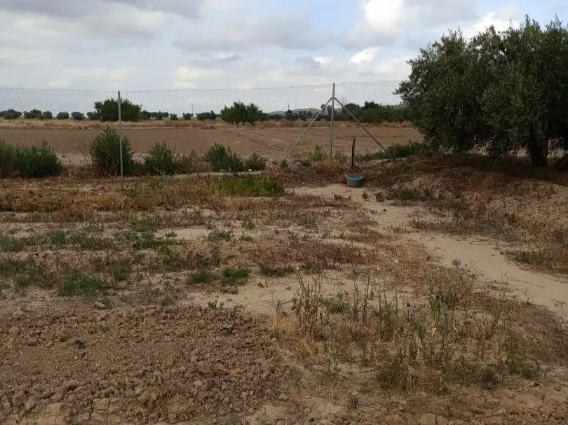 Terreno en venta en Lorca