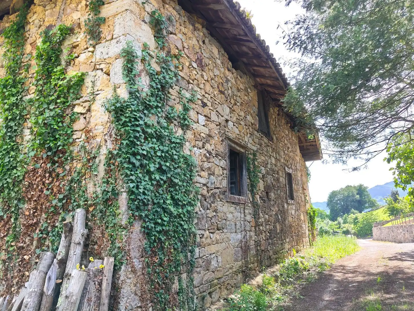 Vista exterior de Casa o xalet en venda en Salas amb Terrassa i Piscina