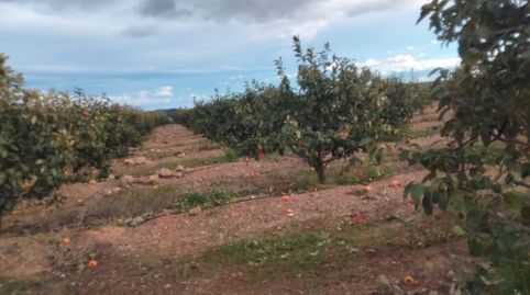 Foto 4 de Terreno en venta en Parque de la Bombilla, Llíria
