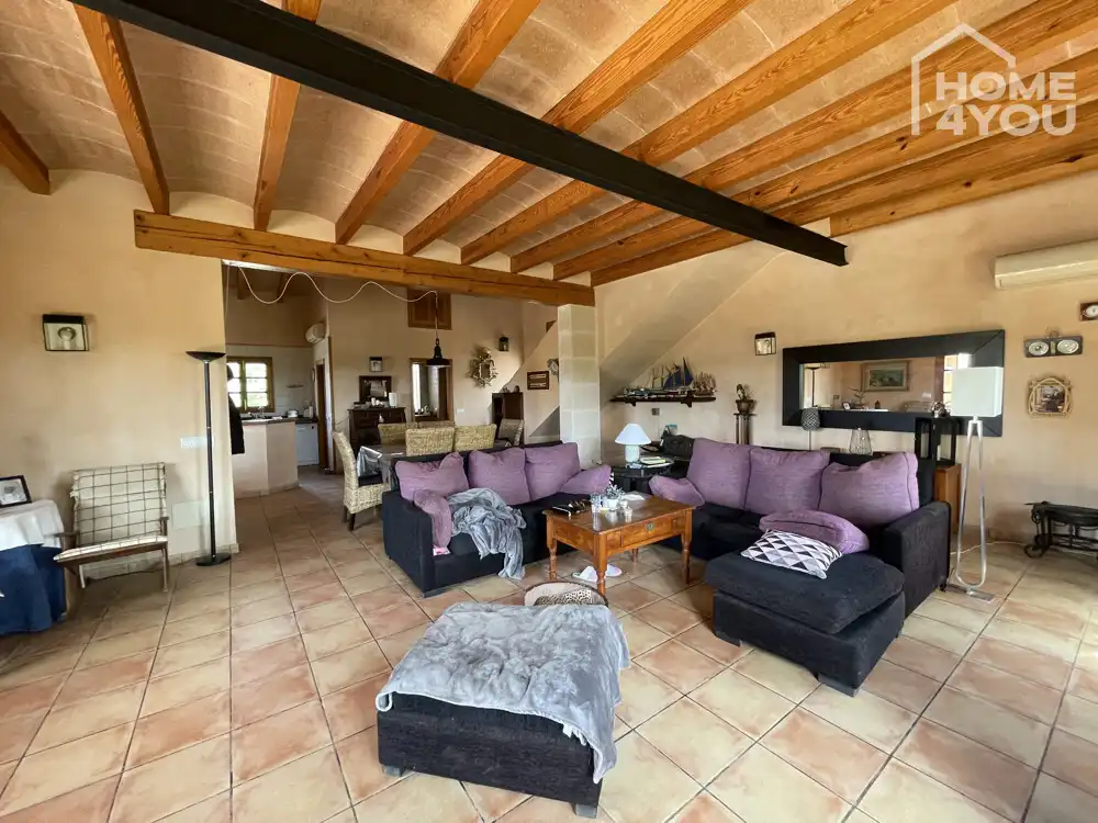 Sala d'estar de Casa o xalet en venda en Ses Salines amb Aire condicionat, Calefacció i Terrassa