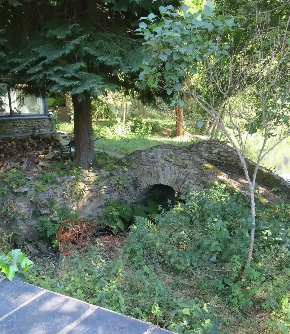 Jardí de Local en venda en Puebla de Sanabria