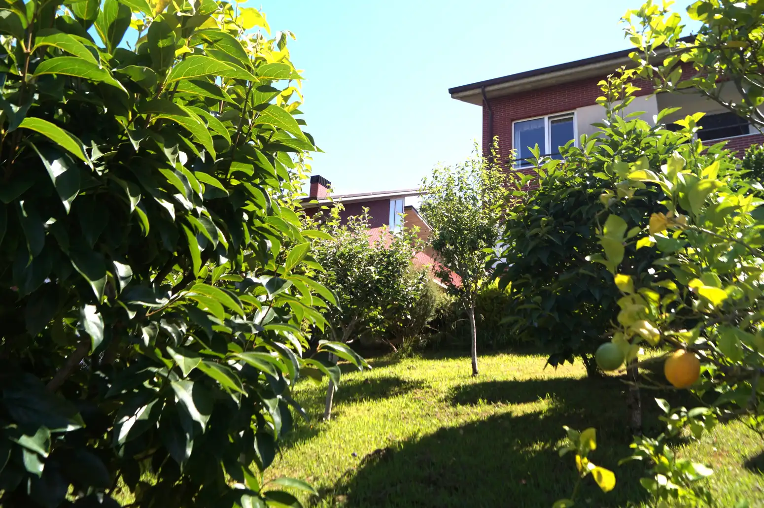 Jardí de Casa o xalet en venda en Medio Cudeyo amb Calefacció, Jardí privat i Terrassa