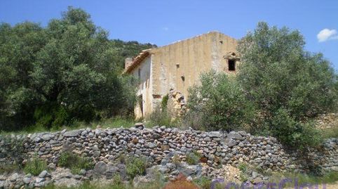 CullaFinca Rustica, image 2