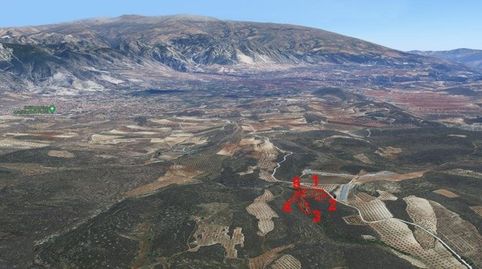 5 Fincas Rústicas, imatge 5