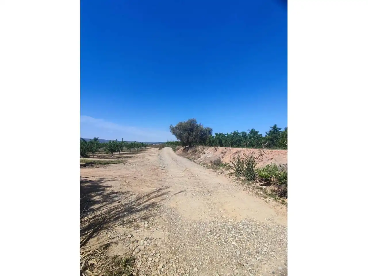 Terreno en venta en Zaidín
