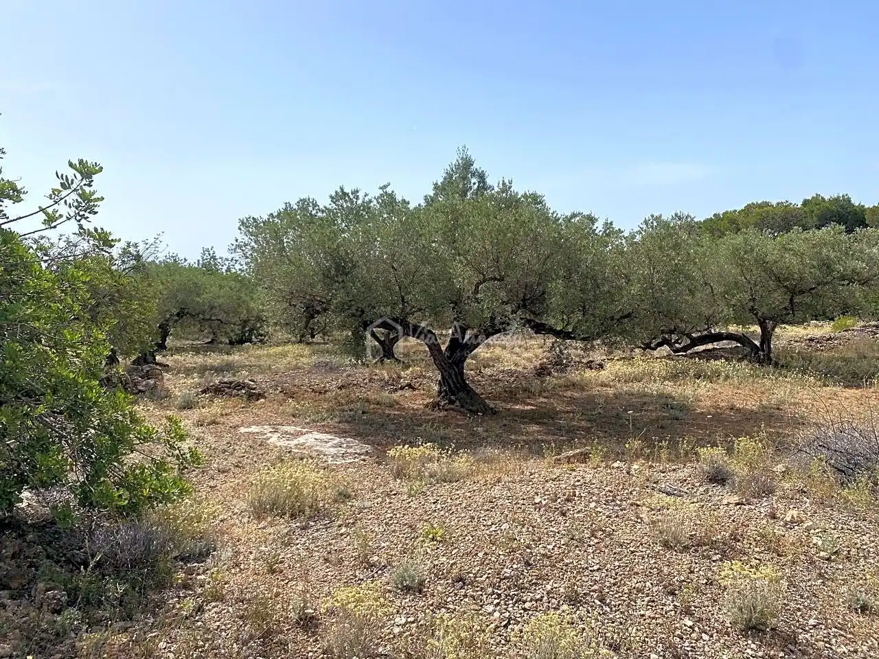 Terreno rustico in vendita a Partida Comartins, imagen 9