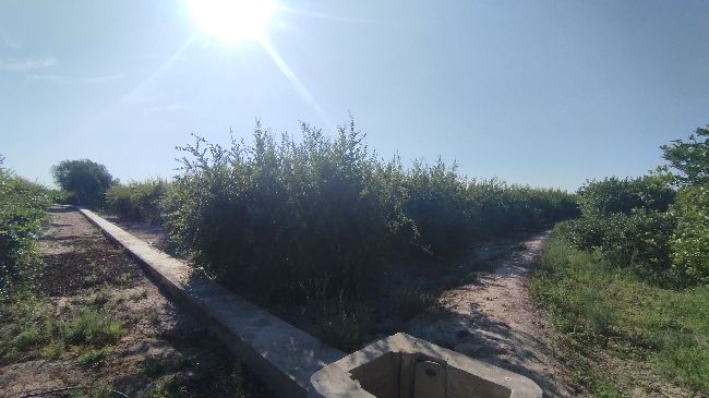 Residential for sale in Partida Fogaria, 19, Almoradí