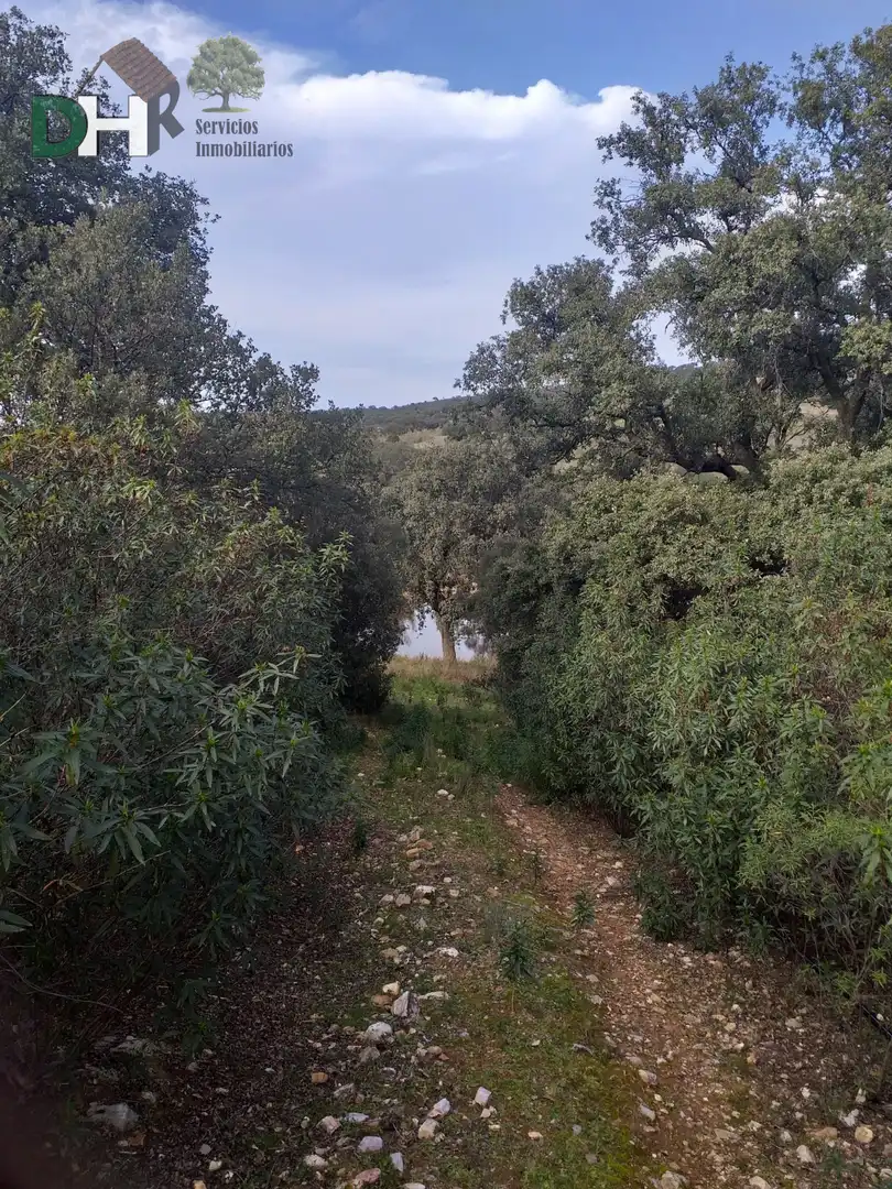 Terreni e lotti in vendita a Sur, imagen 8