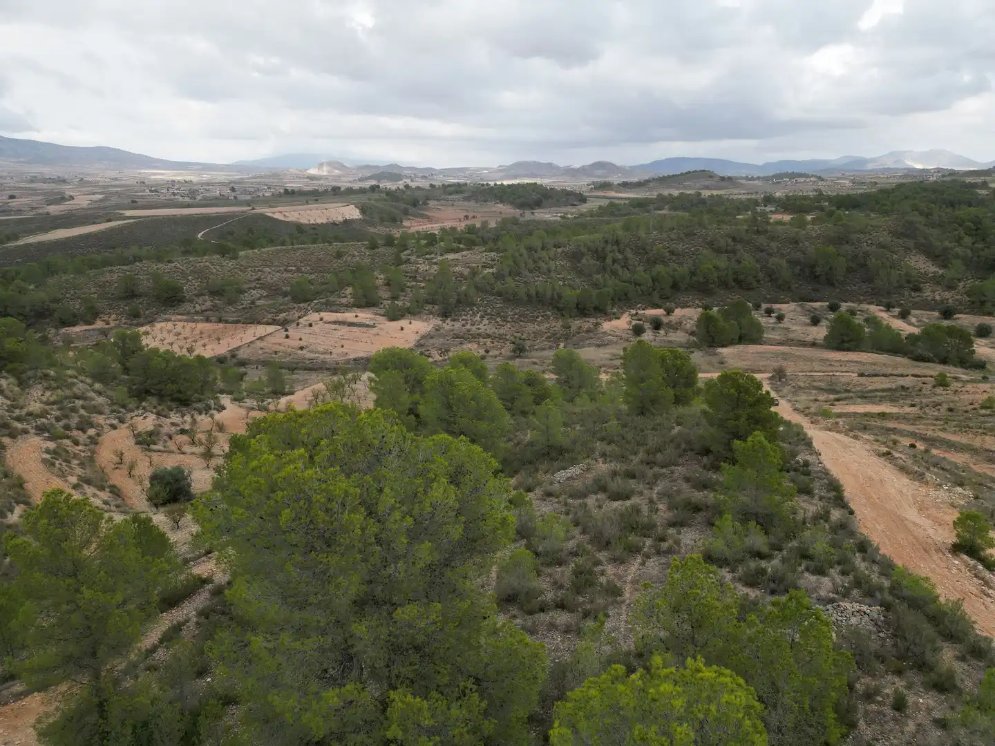Terreny residencial en venda a Jumilla, imagen 13