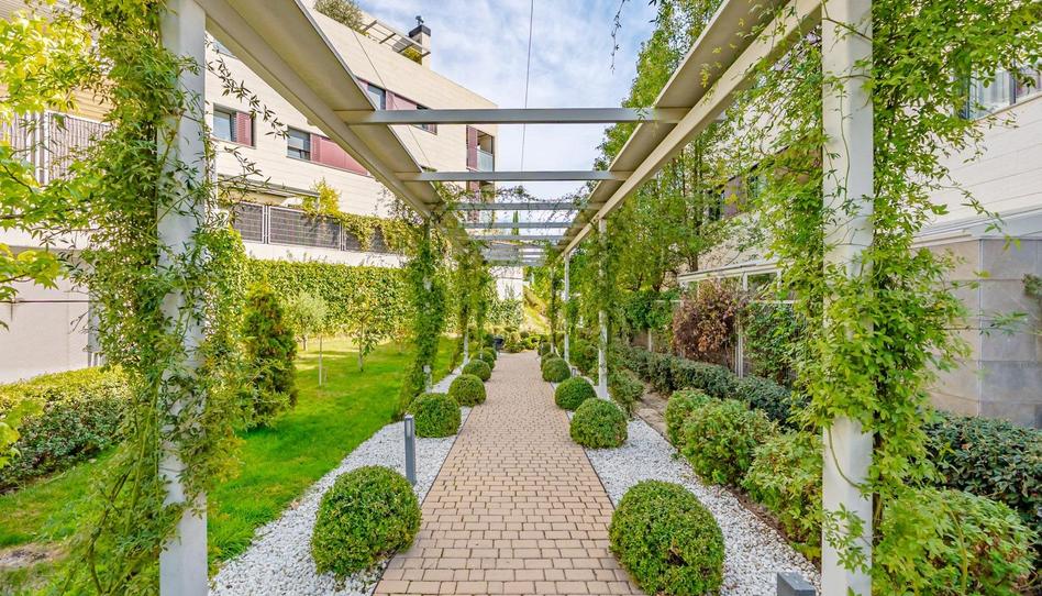 Photo 1 of Planta baja to rent in Aravaca, Madrid