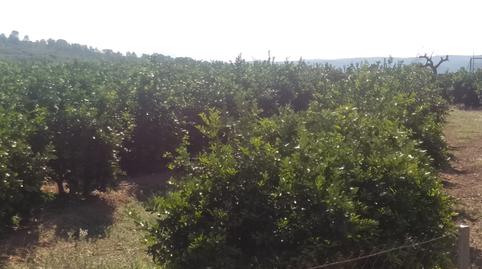 Photo 4 of Country house for sale in Urbanitzación Les Mallaes, Pedralba, Valencia