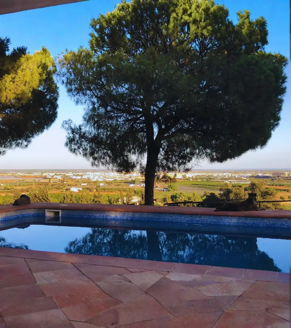 Landhaus mit Pool zum Verkauf in Lepe, imagen 13