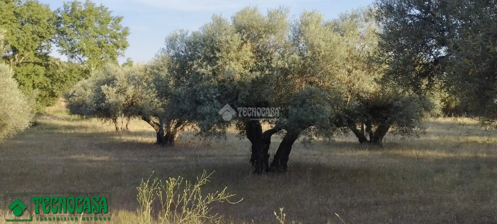 Terreni e lotti in vendita a Méntrida, imagen 4