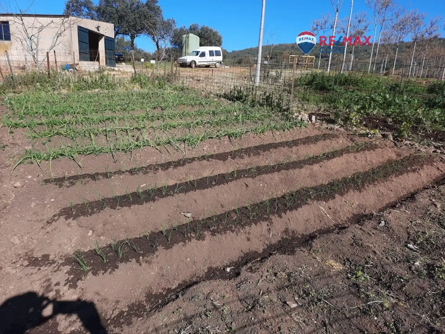 Terreni e lotti in vendita a Alburquerque, imagen 5